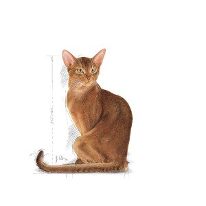 ROYAL CANIN® Savour Exigent 10kg
